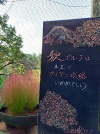 秋