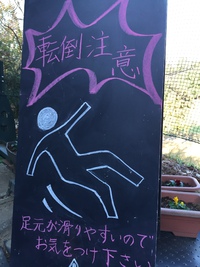 朝は足元注意‼️