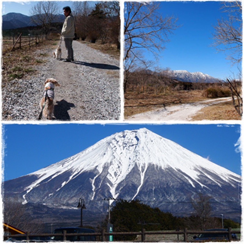 富士宮市・富士ミルクランド