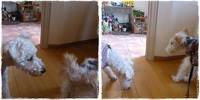 楽しい時間～。 2015/09/21 23:37:00