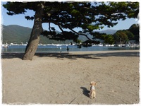 沼津市戸田・御浜岬公園 2015/10/25 23:40:57