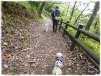 長泉町・駿河平自然公園 2015/11/10 23:52:00
