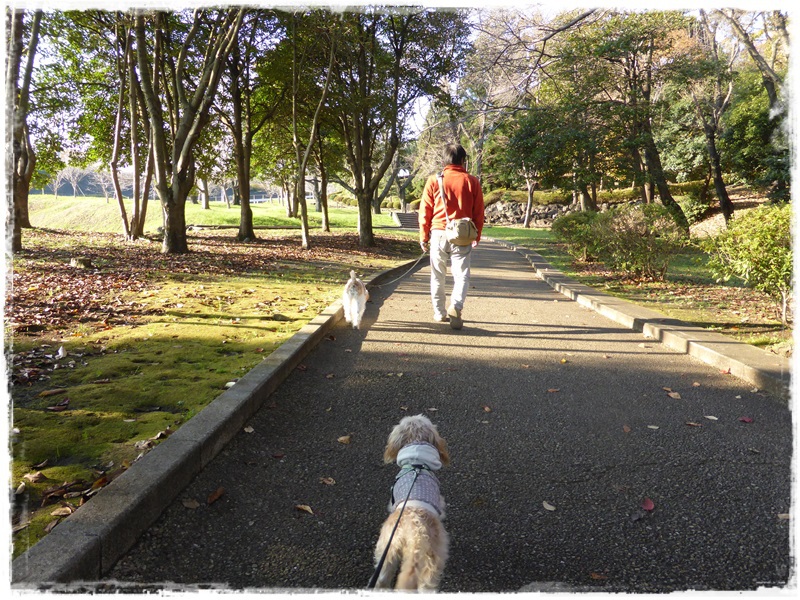 富士市・ポワポワキッチンと広見公園