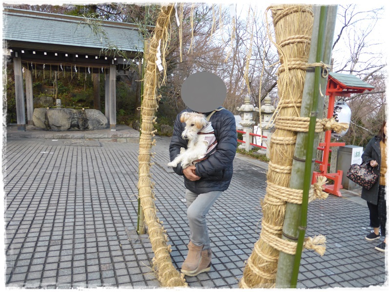 伊東市・PUPU CAFEと神祇大社