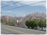 散歩道 2016/04/06 23:13:00