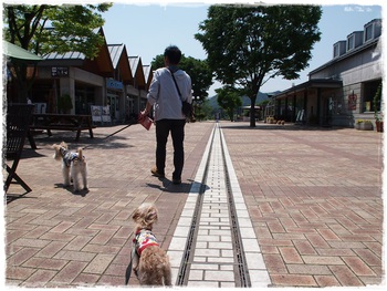 春旅行　～１日目～　道の駅うつのみや　ろまんちっく村