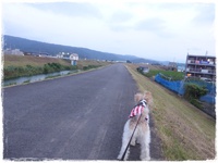 もしかして・・・。 2016/07/14 23:43:00