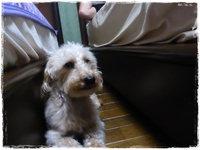怖がりさん。 2016/07/20 23:59:00