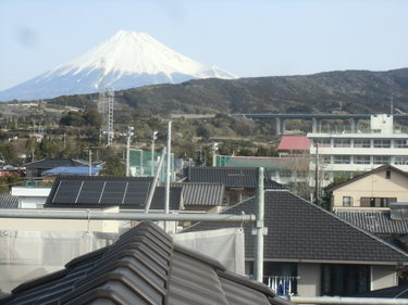 今日はお天気が良いので