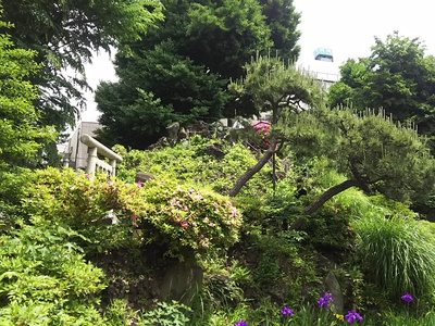 千駄ヶ谷の富士塚(ミニ富士山）