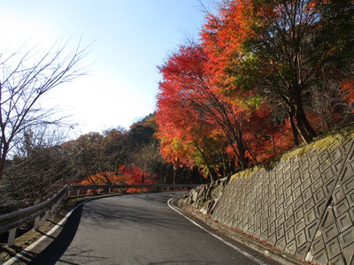 富士市　須津川渓谷