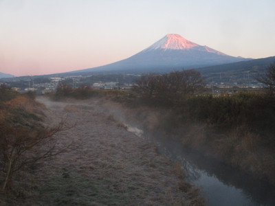 本年もよろしくお願いいたします。