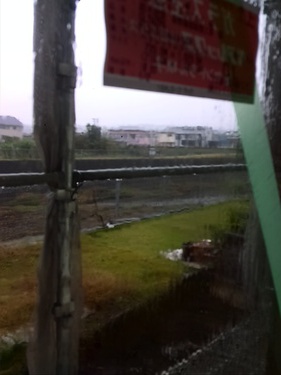 雨模様・・・。