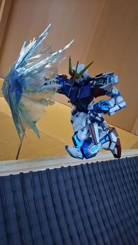 プラコン出場