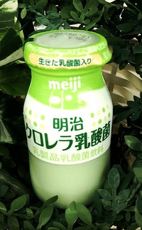明治　クロレラ乳酸菌　このみどり色が…じつは