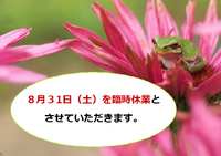 ８月３１日（土）を臨時休業とさせていただき ます