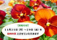 １１月２５日（月）～２９日（金）を臨時休業とさせていただきます