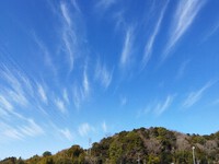 ２月１０日（月）・１１日（火・㊗）はお休みです