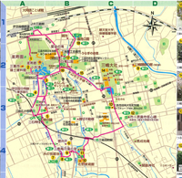 街中がせせらぎコースを歩く（２）