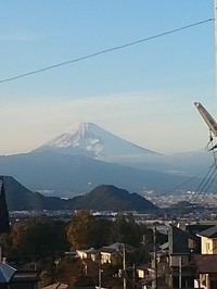 冬こそ、三島スカイウォークへ！