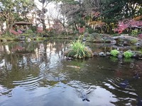この一年ありがとうございました