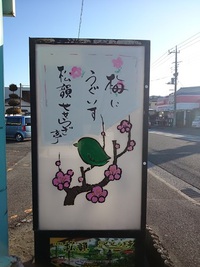 梅まつり開催します！２