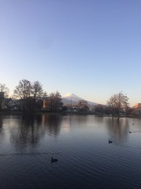 温水池で富士を眺める