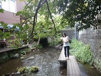 街中がせせらぎコースを歩く（３）