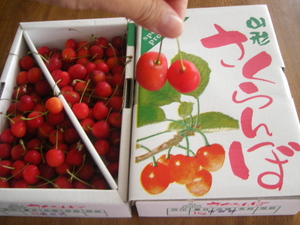 秘密の花園♪　番外編