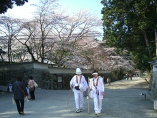 寺めぐり