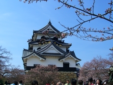 彦根城