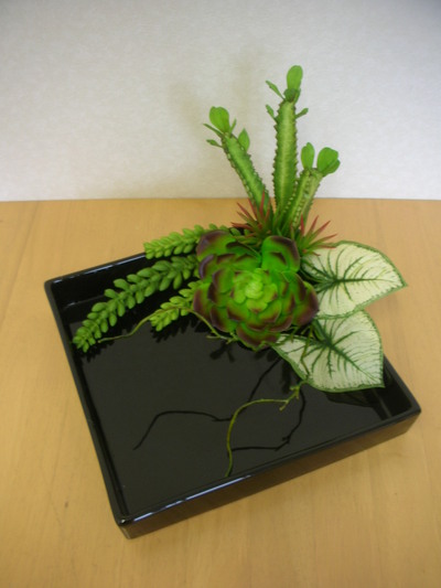 ５９４番　多肉植物で日本のお庭風アレンジ。