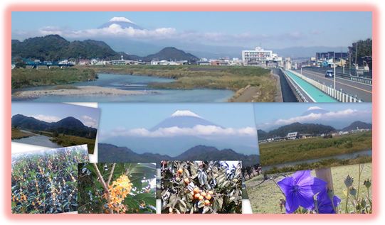 初冠雪の富士山★