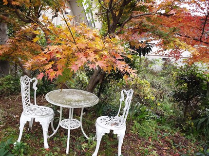 我家の紅葉 ✿❀✿