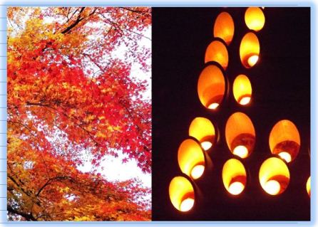 ★江川邸★昼と夜の庭園
