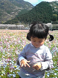 お花見