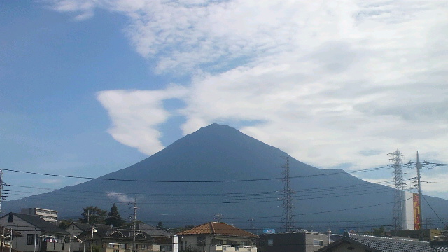 夏山だね…。の巻