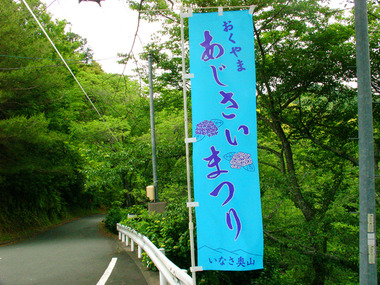 あじさい
