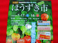 2010年06月16日