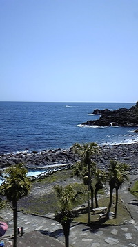 ここは常夏？