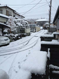 2013年01月24日