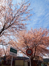 2012年03月29日