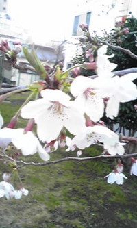 2009年03月28日