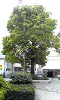 2009年04月15日