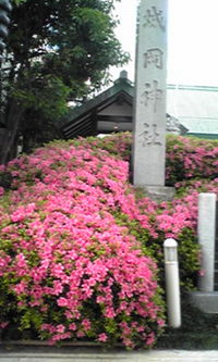 2009年05月15日