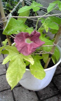 2011年08月18日