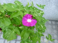 2011年08月04日
