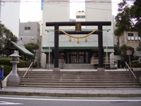 2009年01月31日