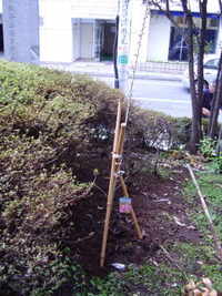 2010年03月17日