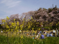 2009年04月04日